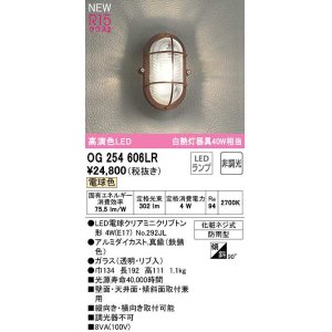 オーデリック OG254605LR(ランプ別梱) ブラケットライト 非調光 LED