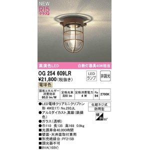 画像: オーデリック　OG254609LR(ランプ別梱)　ブラケットライト 非調光 LEDランプ 電球色 防雨型 鉄錆色