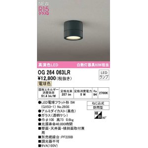 画像: オーデリック　OG264063LR(ランプ別梱)　エクステリア ポーチライト LEDランプ 電球色 防雨型 黒色