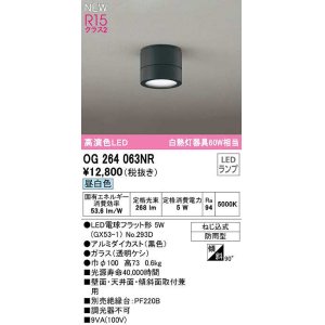 画像: オーデリック　OG264063NR(ランプ別梱)　エクステリア ポーチライト LEDランプ 昼白色 防雨型 黒色