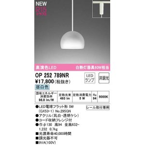 オーデリック OP252896NR(ランプ別梱) ペンダントライト 非調光 LED