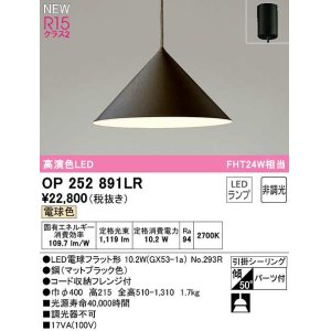 画像: オーデリック　OP252891LR(ランプ別梱)　ペンダントライト 非調光 LEDランプ 電球色 フレンジタイプ マットブラック