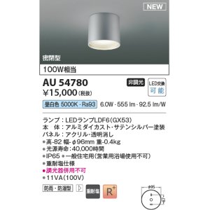 画像: コイズミ照明 AU54780 シーリング 非調光 LED 昼白色 密閉型 防雨・防湿型 サテンシルバー