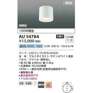コイズミ照明 AU53513 階段通路用ブラケット LED一体型 非調光 防雨型