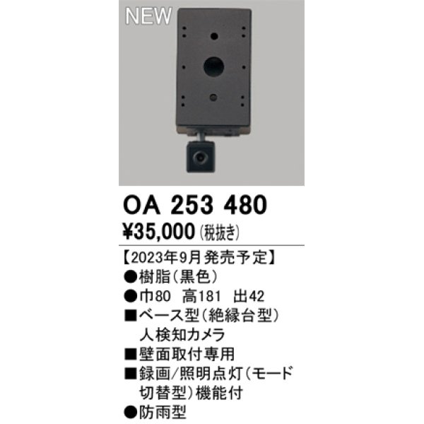 画像1: オーデリック OA253480 センサ ベース型人検知カメラ 壁面取付専用 防雨型 黒色 (1)