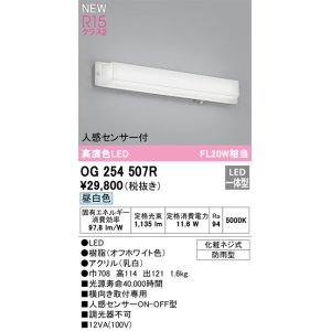 オーデリック OG254509R エクステリア ポーチライト LED一体型 昼白色