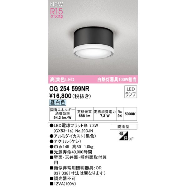 画像1: オーデリック OG254599NR(ランプ別梱) エクステリア ポーチライト LEDランプ 昼白色 高演色LED 防雨型 黒色 (1)