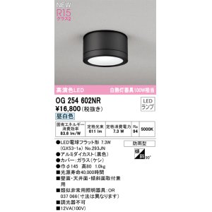 画像: オーデリック OG254602NR(ランプ別梱) エクステリア ポーチライト LEDランプ 昼白色 高演色LED 防雨型 黒色