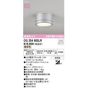 画像: オーデリック OG254603LR(ランプ別梱) エクステリア ポーチライト LEDランプ 電球色 高演色LED 防雨型 マットシルバー