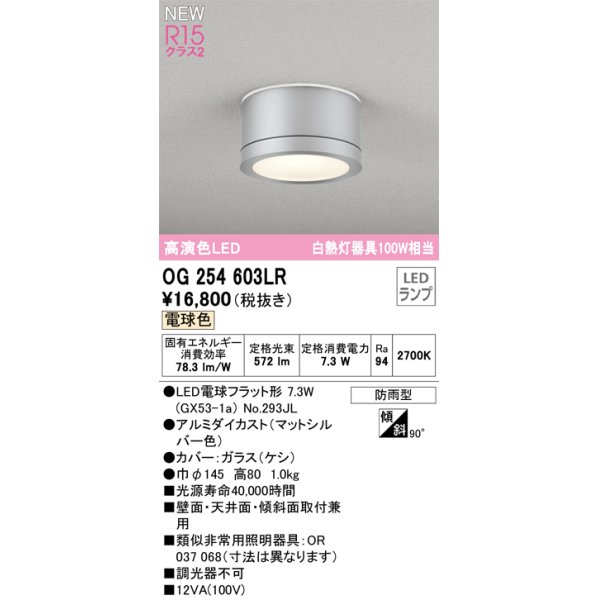 画像1: オーデリック OG254603LR(ランプ別梱) エクステリア ポーチライト LEDランプ 電球色 高演色LED 防雨型 マットシルバー (1)