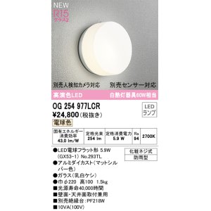 画像: オーデリック OG254977LCR(ランプ別梱) エクステリア ポーチライト LEDランプ 電球色 高演色LED 防雨型 マットシルバー