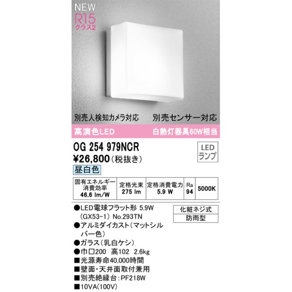 画像1: オーデリック OG254979NCR(ランプ別梱) エクステリア ポーチライト LEDランプ 昼白色 高演色LED 防雨型 マットシルバー (1)