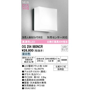 画像: オーデリック OG254980NCR(ランプ別梱) エクステリア ポーチライト LEDランプ 昼白色 高演色LED 防雨型 黒色