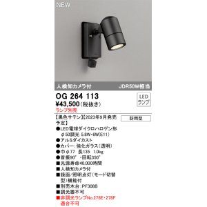 画像: オーデリック OG264113 エクステリア スポットライト ランプ別売 LEDランプ 人検知カメラ付 防雨型 黒色サテン