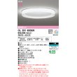 画像1: オーデリック OL291600BR シーリングライト 10畳 調光調色 Bluetooth リモコン別売 LED一体型 高演色LED マットホワイト (1)