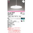 画像1: オーデリック OP252800BR ペンダントライト 12畳 調光調色 Bluetooth リモコン別売 LED一体型 高演色LED フレンジタイプ (1)