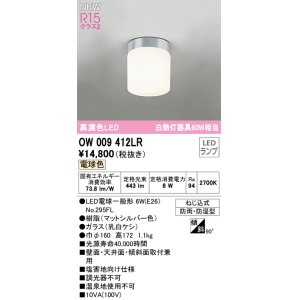 画像: オーデリック OW009412LR(ランプ別梱) エクステリア ポーチライト LEDランプ 電球色 高演色LED 防雨・防湿型 マットシルバー