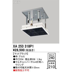 オーデリック XA253317P1 ダウンライト 部材 埋込穴□240 ハウジング 4