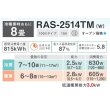 画像2: [在庫あり・基本工事費込] 日本キヤリア/東芝 RAS-2514TM(W) エアコン 8畳用 ルームエアコン TMシリーズ 単相100 8畳程度 ホワイト 2024モデル ☆2 (2)