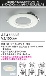 画像: コイズミ照明　AE45833E　ダウンライト 軒下用リニューアルプレート 屋内屋外兼用 φ125 ダウンライト用 防雨型