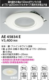 画像: コイズミ照明　AE45834E　ダウンライト 軒下用リニューアルプレート 屋内屋外兼用 φ150 ダウンライト用 防雨型