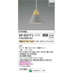 コイズミ照明 AP35201L ペンダントライト 奥隙(おくすき) プラグタイプ