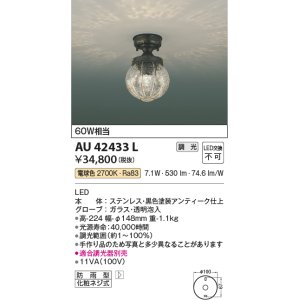 画像: コイズミ照明　AU42433L　ポーチライト 天井 調光タイプ 白熱球60W相当 LED一体型 電球色 防雨型 アンティーク