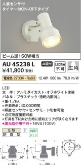 画像: コイズミ照明　AU45238L　アウトドアスポットライト 人感センサ タイマー付ON-OFFタイプ LED一体型 電球色 防雨型