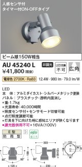 画像: コイズミ照明　AU45240L　アウトドアスポットライト 人感センサ タイマー付ON-OFFタイプ LED一体型 電球色 防雨型