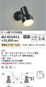 画像: コイズミ照明　AU45243L　アウトドアスポットライト LED一体型 電球色 防雨型 ブラック