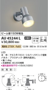 画像: コイズミ照明　AU45244L　アウトドアスポットライト LED一体型 電球色 防雨型 シルバーメタリック