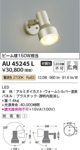 画像: コイズミ照明　AU45245L　アウトドアスポットライト LED一体型 電球色 防雨型 ウォームシルバー