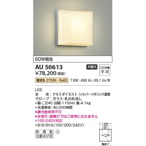 画像: コイズミ照明　AU50613　アウトドアライト LED一体型 非調光 電球色 防雨型 化粧ネジ式 シルバー