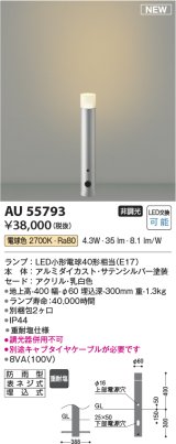 画像: コイズミ照明 AU55793 アウトドアライト ガーデンライト 非調光 電球色 キャブタイヤケーブル別売 防雨型 サテンシルバー