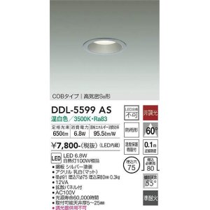 画像: 大光電機(DAIKO) DDL-5599 AS ダウンライト 埋込穴φ75 非調光 LED 温白色 COBタイプ 高気密SB形 防雨形 準耐火 シルバー