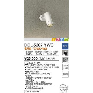 大光電機(DAIKO) DOL-4827YSG アウトドアライト スポットライト LED