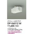 dp-06012w(小組)