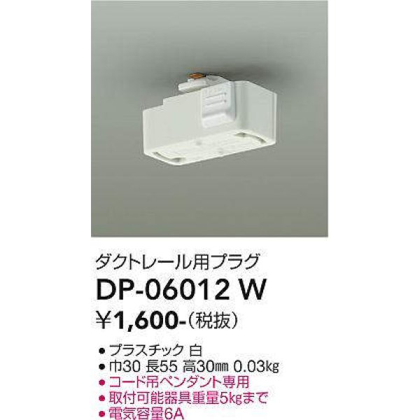 dp-06012w(小組)