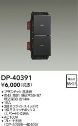 画像: 大光電機(DAIKO)　DP-40391　部材 2個スイッチ プレート別売 黒