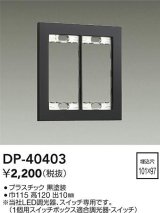 画像: 大光電機(DAIKO)　DP-40403　部材 2連用プレート 黒