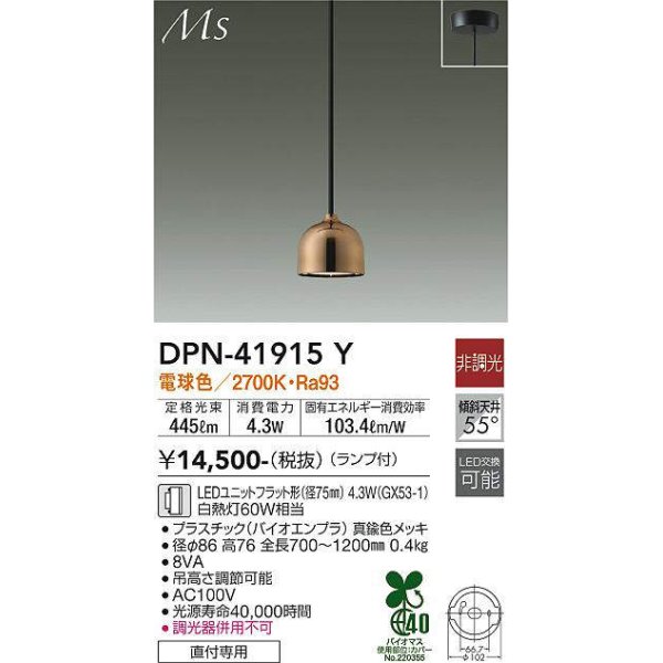 dpn-41915y(小組)