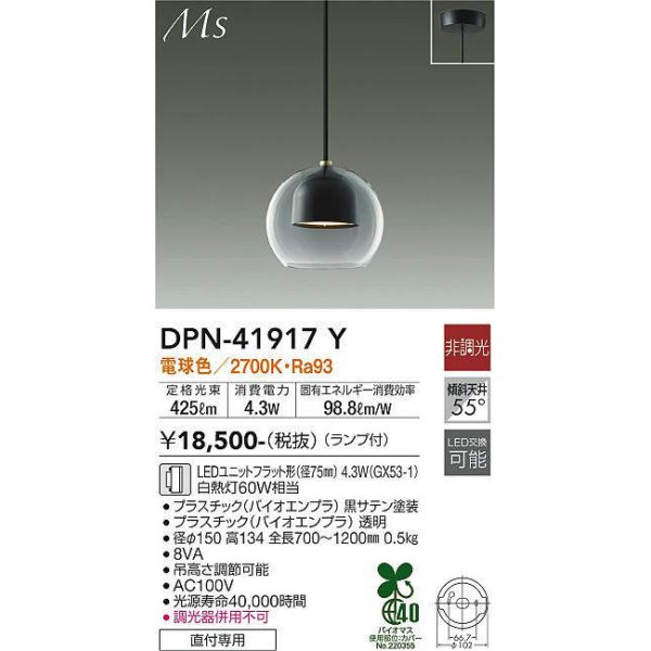 dpn-41917y(小組)