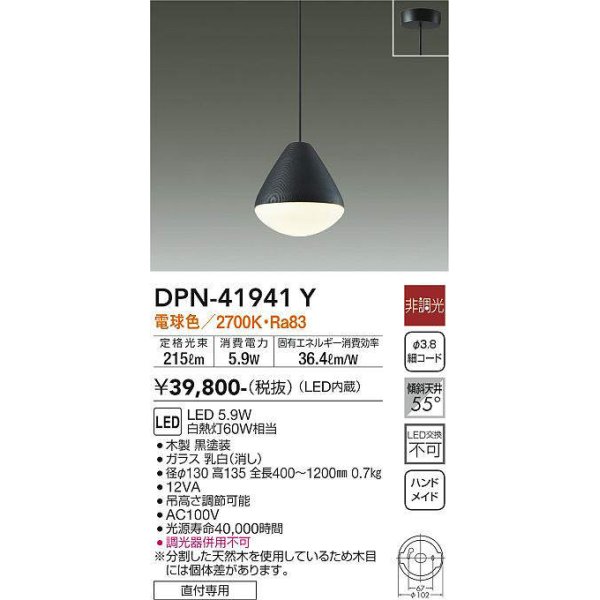 dpn-41941y(小組)