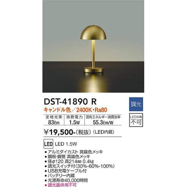 dst-41890r(小組)