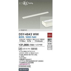 大光電機(DAIKO) DSY-4887WW 間接照明器具 非調光 シングルライン 
