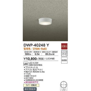 画像: 大光電機(DAIKO)　DWP-40248Y　アウトドア 軒下シーリング LED内蔵 非調光 電球色 防雨形 拡散パネル付