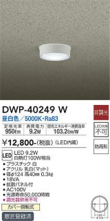 画像: 大光電機(DAIKO)　DWP-40249W　アウトドア 軒下シーリング LED内蔵 非調光 温白色 防雨形 拡散パネル付