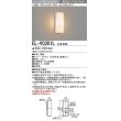 画像1: 三菱　EL-V0301L 1LN　LED一体形 ブラケット ポーチ灯 センサなしタイプ 固定出力 電球色 受注生産品 [§] (1)