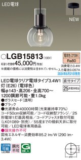 画像: パナソニック LGB15813(ランプ同梱包) ペンダント LED(電球色) 天井吊下型 直付タイプ ガラスセード LED電球交換型 ブラック