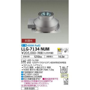 画像: 大光電機(DAIKO) LLG-7134NUM アウトドアライト グランドライト 非調光 白色 ビーム角17度 中角形 防雨・防湿形 ステンカラー